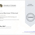 Ampliar imagen: certificate 5