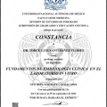 Ampliar imagen: certificate 4