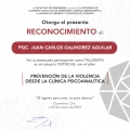 Ampliar imagen: certificate 7