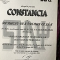 Ampliar imagen: certificate 14