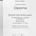 Ampliar imagen: certificate 10