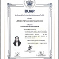 Ampliar imagen: certificate 3