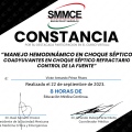 Ampliar imagen: certificate 7