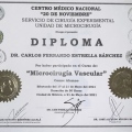Ampliar imagen: certificate 3