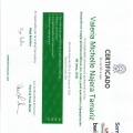 Ampliar imagen: certificate 2