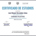 Ampliar imagen: certificate 3