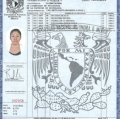 Ampliar imagen: certificate 4
