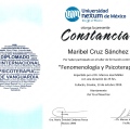 Ampliar imagen: certificate 3