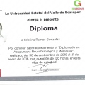 Ampliar imagen: certificate 5