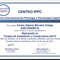 Ampliar imagen: certificate 4