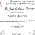 Ampliar imagen: certificate 19