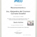 Ampliar imagen: certificate 11