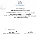 Ampliar imagen: certificate 25