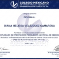 Ampliar imagen: certificate 1