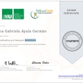Ampliar imagen: certificate 3