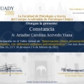 Ampliar imagen: certificate 7
