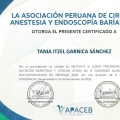 Ampliar imagen: certificate 1