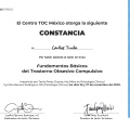 Ampliar imagen: certificate 9