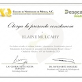 Ampliar imagen: certificate 11