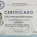 Ampliar imagen: certificate 1