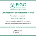 Ampliar imagen: certificate 6