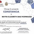 Ampliar imagen: certificate 4