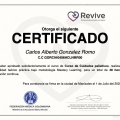 Ampliar imagen: certificate 10