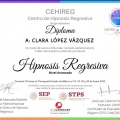 Ampliar imagen: certificate 5