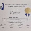 Ampliar imagen: certificate 9
