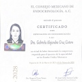 Ampliar imagen: certificate 1