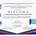 Ampliar imagen: certificate 2