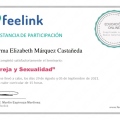 Ampliar imagen: certificate 6
