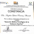 Ampliar imagen: certificate 26