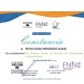 Ampliar imagen: certificate 4