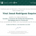 Ampliar imagen: certificate 13