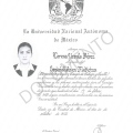 Ampliar imagen: certificate 1