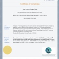 Ampliar imagen: certificate 6