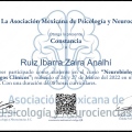 Ampliar imagen: certificate 7