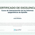 Ampliar imagen: certificate 6