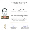 Ampliar imagen: certificate 4