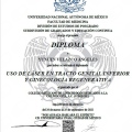 Ampliar imagen: certificate 4