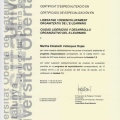 Ampliar imagen: certificate 10