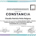 Ampliar imagen: certificate 11