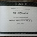 Ampliar imagen: certificate 33