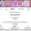 Ampliar imagen: certificate 8