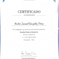 Ampliar imagen: certificate 6