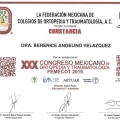 Ampliar imagen: certificate 5