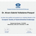 Ampliar imagen: certificate 3