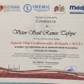 Ampliar imagen: certificate 13