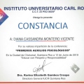 Ampliar imagen: certificate 3